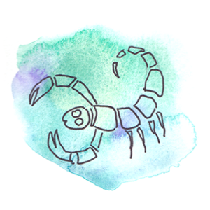 signe astrologique du scorpion