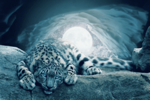 pleine lune cancer capricorne